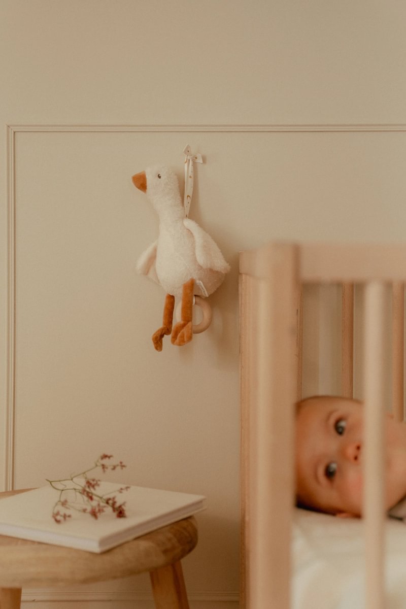 Little Goose GRS music box