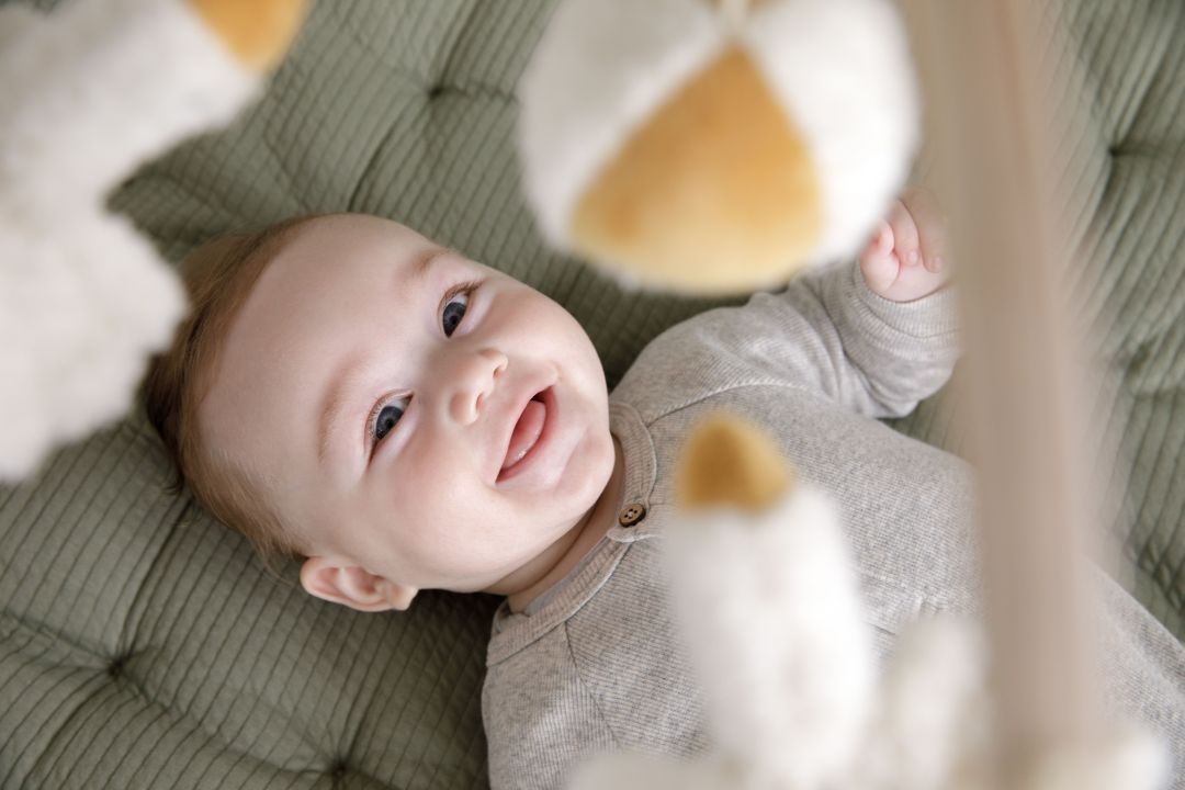 Mobile musical Petite Oie pour lit bébé by Schmatzepuffer®