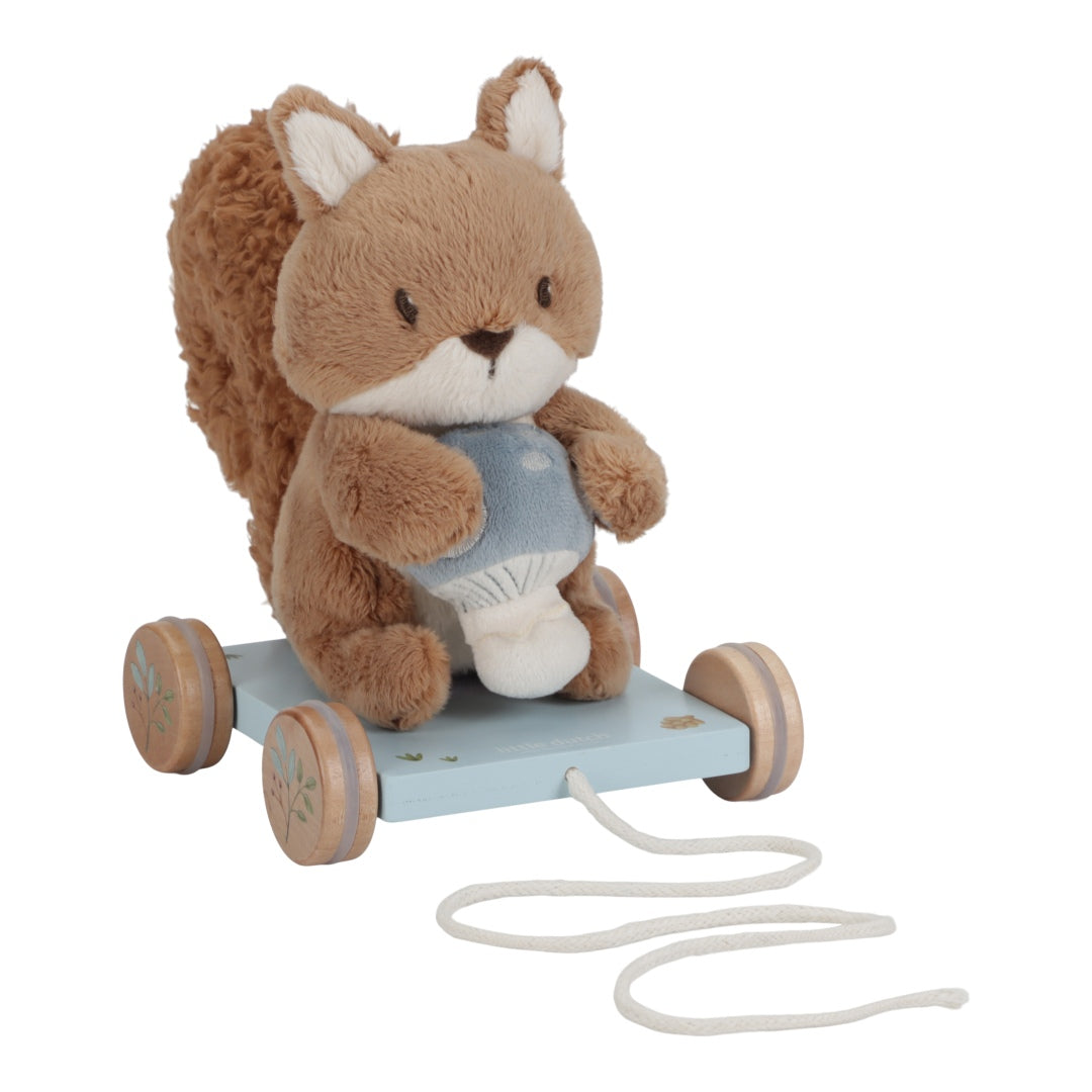 Tow animal squirrel