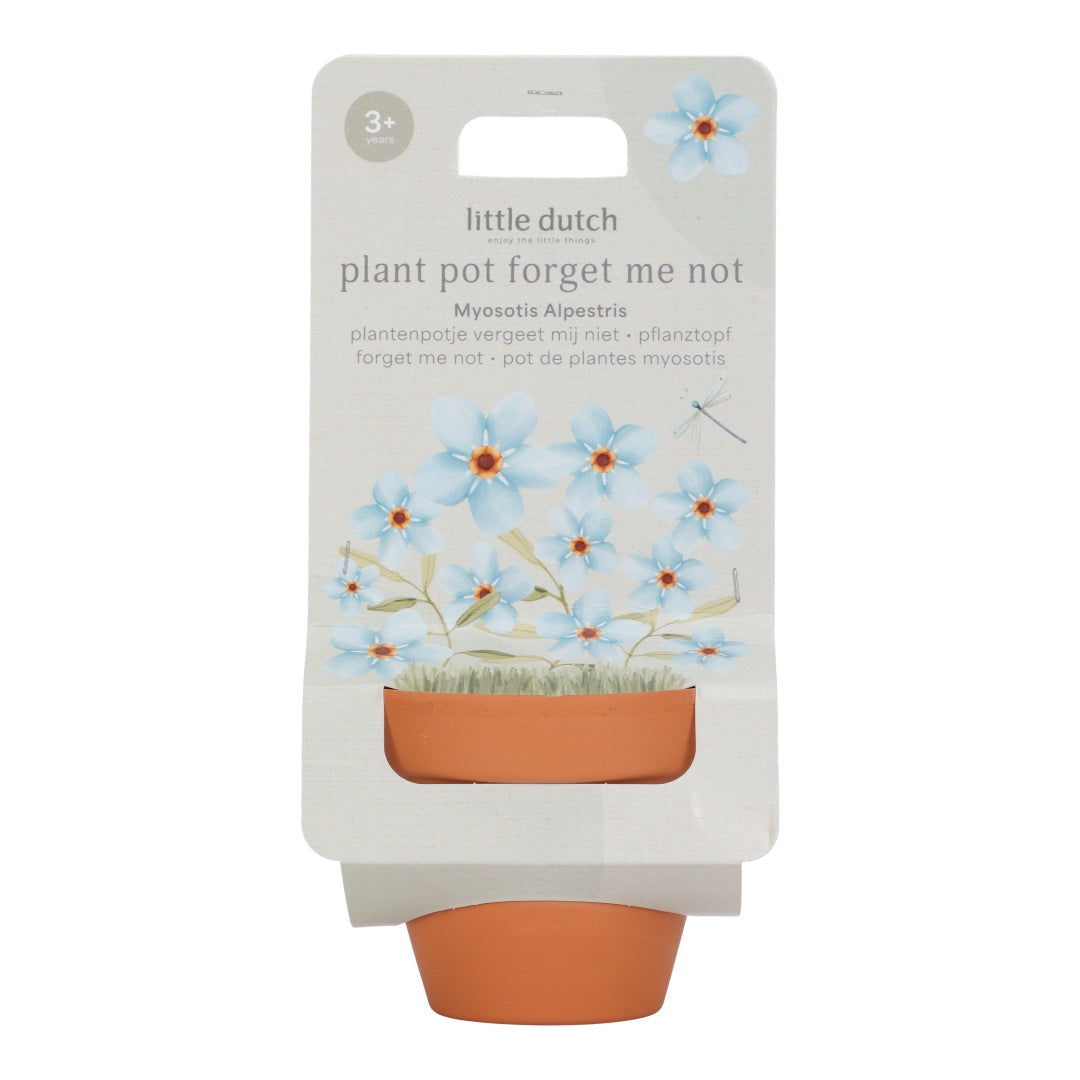 Pot de fleurs Myosotis pour enfants
