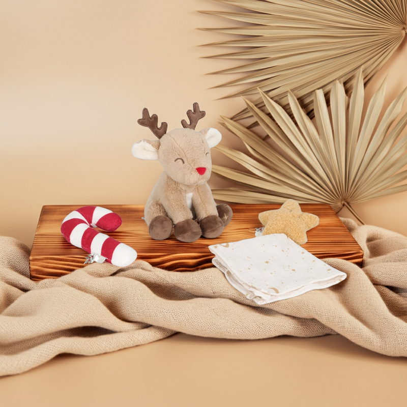 Newborn Christmas Gift Set - First Christmas Gift
