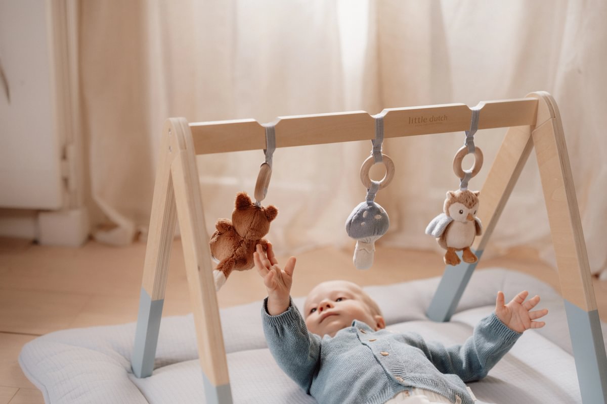 Spieltrapez Forest Friends – Motorikspielzeug für Babys