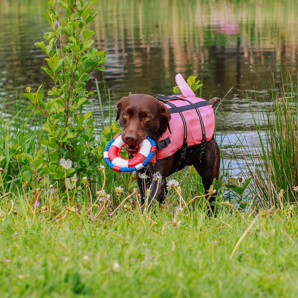 Hunde Schwimmhilfe "Sharki" pink Größe: L - 40 cm | Nobby