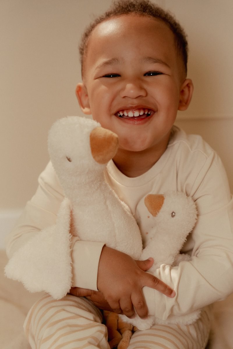 Little Goose plush toy GRS 25cm