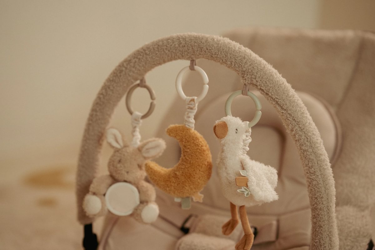 Arche d'éveil Newborn Naturals GRS