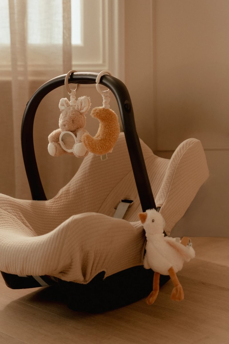 Arche d'éveil Newborn Naturals GRS