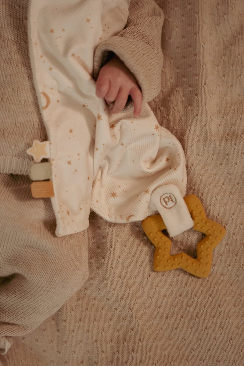 Doudou avec anneau de dentition Newborn Naturals