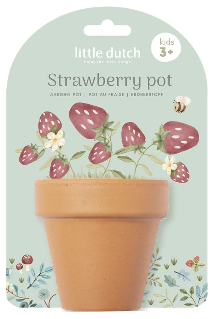 Pot de fraise