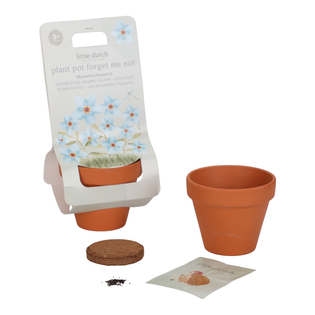 Pot de fleurs Myosotis pour enfants