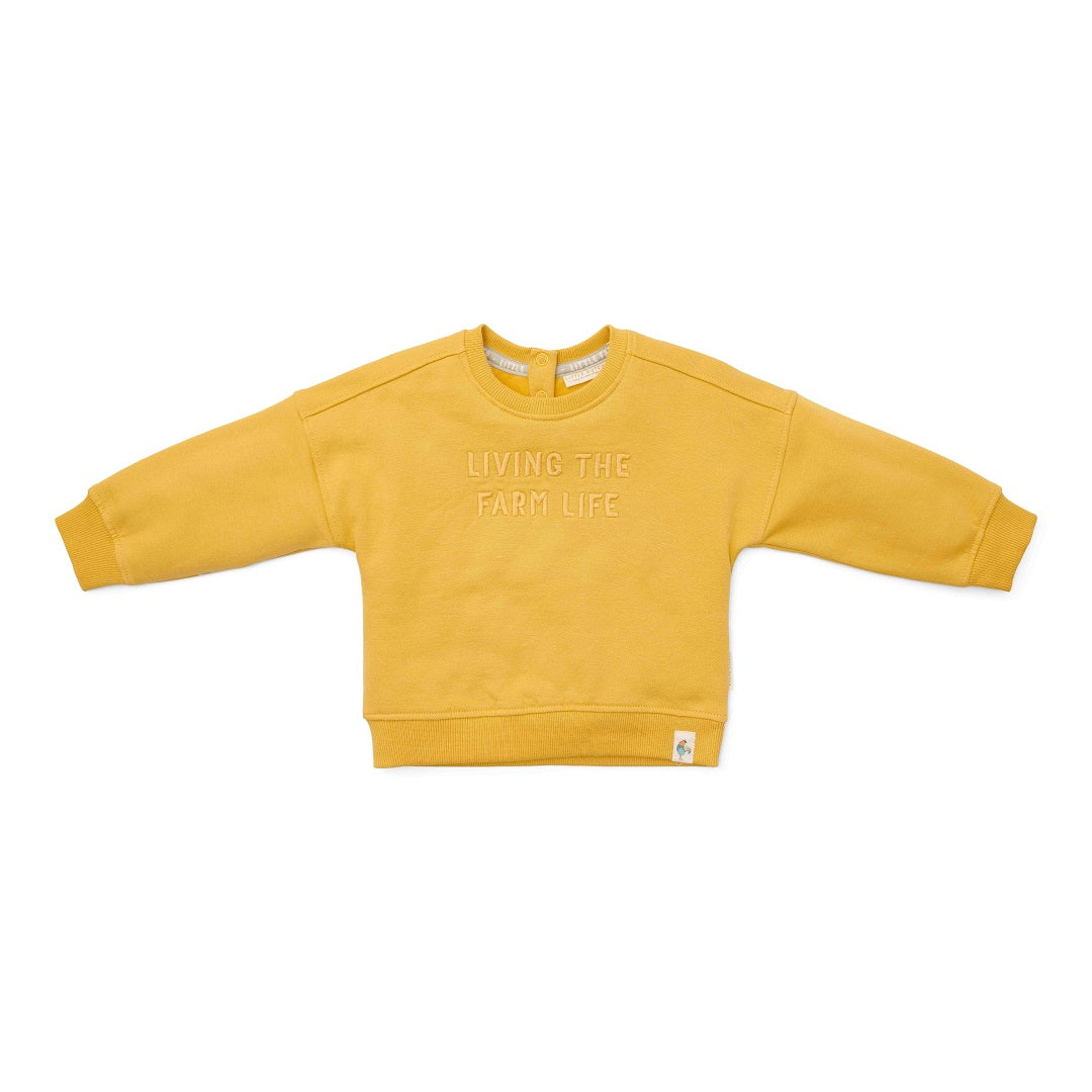 Pull Moutarde pour bébés et enfants