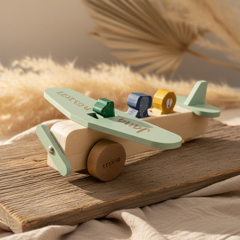 Avion en bois avec animaux | Trixie